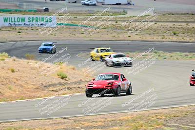 media/May-04-2025-Lucky Dog Racing (Sun) [[21629467aa]]/Turn 4 (10-1045am)/Turn 3/